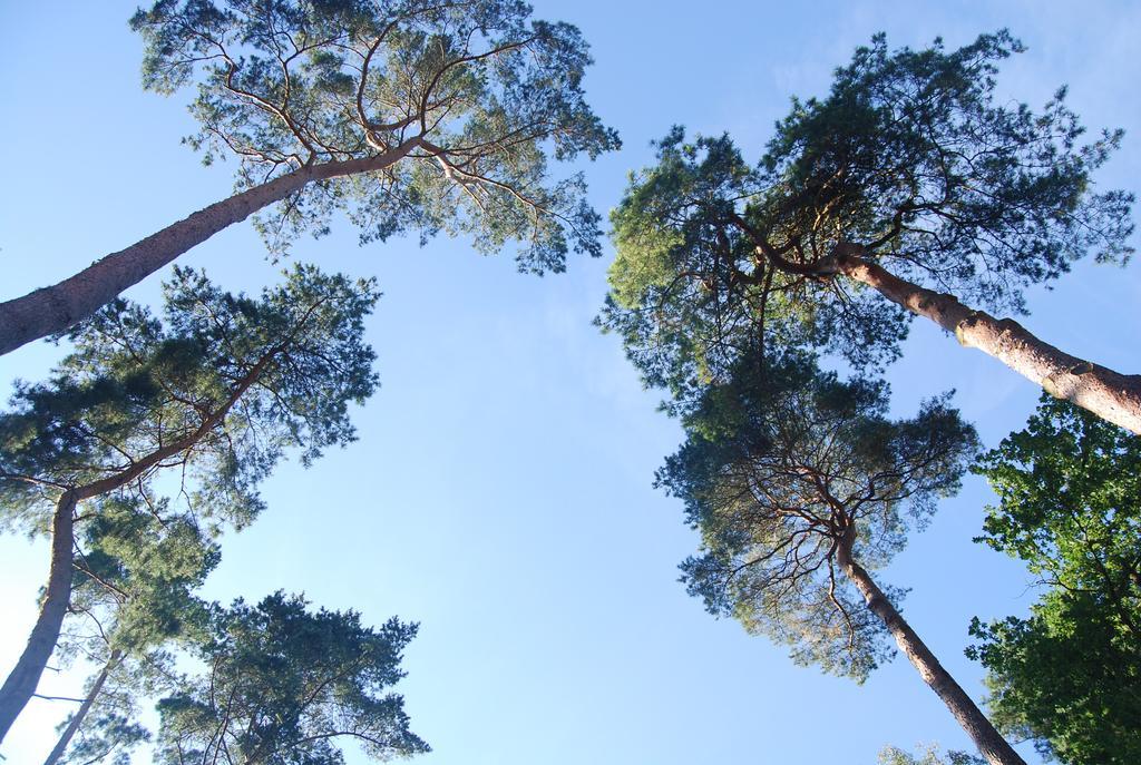 Villa Veell - Tylko 4 Minuty Od Pieknej Szerokiej Plazy Pobierowo Bagian luar foto